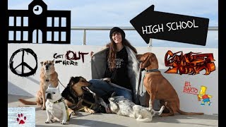 If my dogs were high school students by The Orphan Pet