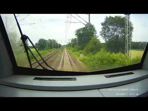 Vollbremsung wegen Reh