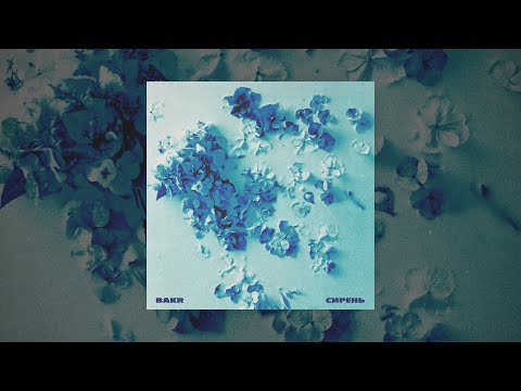 Bakr - Сирень on Spotify Charts