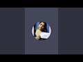Gayatri Paswan Is Live Good Afternoon My Dear Friends ️