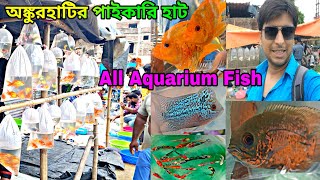 অঙ্কুরহাটির রঙিন মাছের হাট | Aquarium Fish Ankurhati Hat | Howrah Ankurhati Pet Market | Pet Market