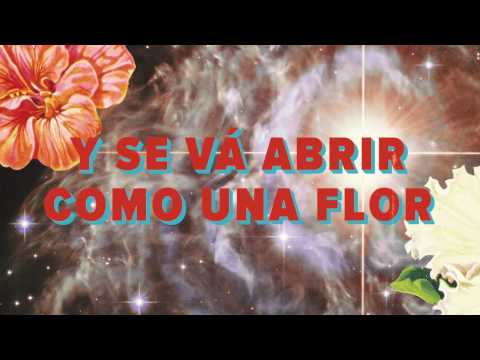 francisco, el hombre - Como Una Flor (Lyric Video Oficial)