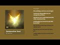 Raindance Dave Feat Tems Lyrics Video