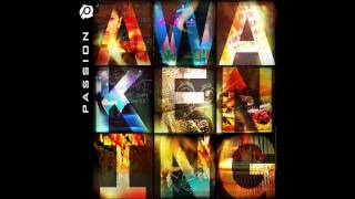 David Crowder Band - Like a Lion