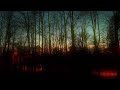 Magnolia X Resonance Slowed Down