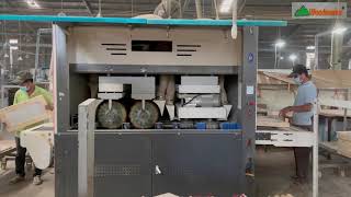 Heavy brush sander machine | Máy chà nhám chổi xả lót 4 trục tải nặng | WM-P2C2