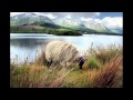 Barleyjuice - "Connemara Ground" (music video)