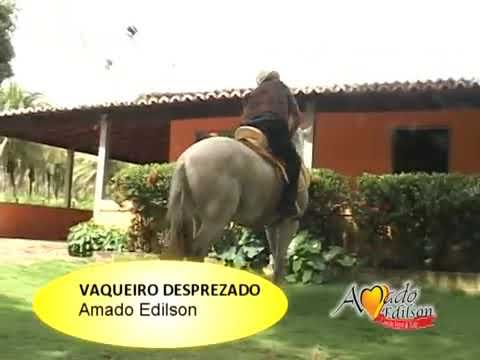 Amado Edilson:VAQUEIRO DESPREZADO