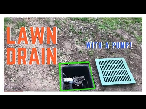 Lawn Drain with Pump