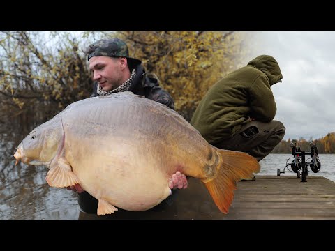 This is how you get the BIG ones in AUTUMN 🍂 🐋