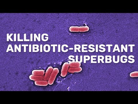 The problem of antibiotic resistance (and how we might solve it)  | Chemistry at Sheffield