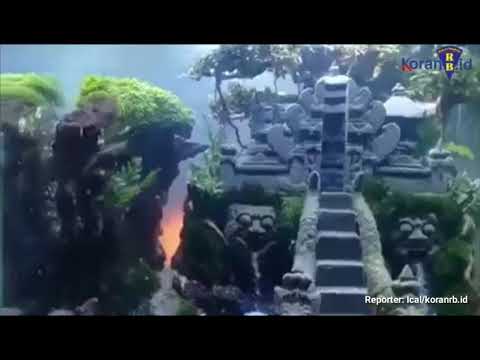 Aquascape, Membuat Ruangan Jadi Lebih Estetik