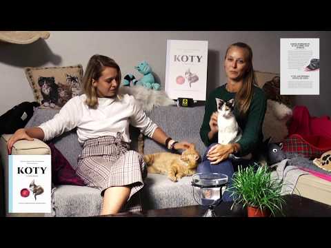 Koty z Grochowa, czyli o mruczeniu wewnątrz