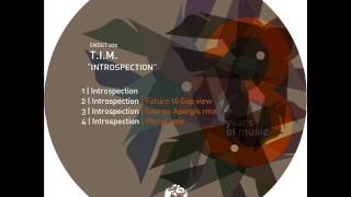 T.I.M. - Introspection (George Apergis Remix) - Etichetta Nera