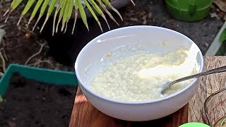 Frecat cu sare (Romanian Garlic Paste) - Video 1