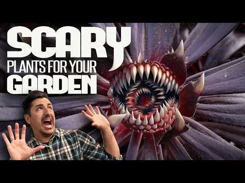 5 SPOOKY Plants to Make Your Garden HAUNTINGLY Beautiful