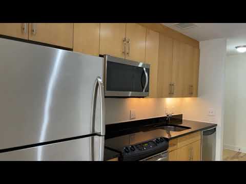 425 Mass Apartments - Mt. Vernon Triangle - Unit 415 Apt 401 PH115