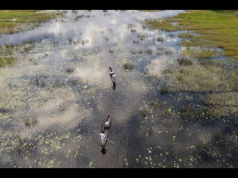 Wilderness Vumbura Plains: The Ultimate Delta Safari