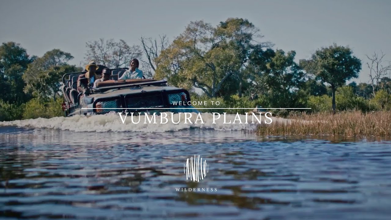 Wilderness Vumbura Plains: The Ultimate Delta Safari