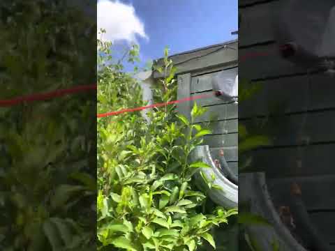 Vileda cordomatic washing line ( please subscribe)