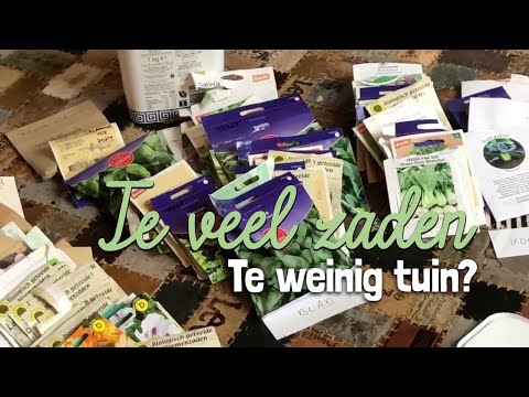 Urban Gardening - Too Many Seeds, Not Enough Garden?