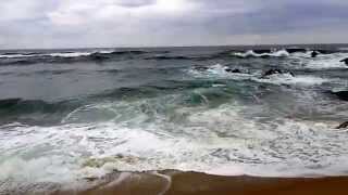 Absence Of Fear - Bliss