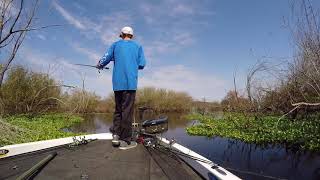 Sam Rayburn Punchout