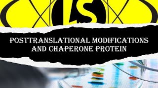 Post-translational Modifications and Chaperone Proteins