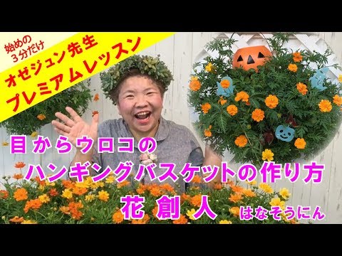 ロビンをバルコニーに引き寄せるにはどうすればよいですか？好きな食べ物、ヒントと方法  庭園