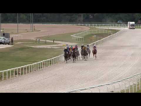 2020.05.31. 04. futam - BÁRÓ WENCKHEIM BÉLA EMLÉKVERSENY HENDIKEP (V.o.) (szintetikus pálya)