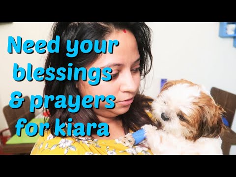 Need Your Blessings And Prayers