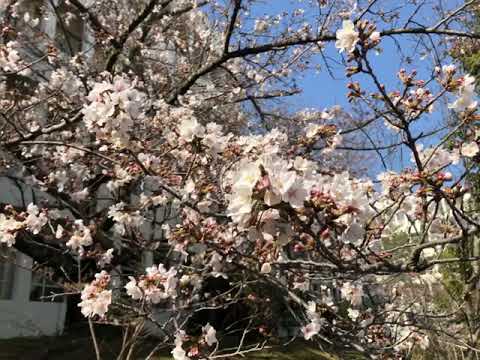 IMG 9352
