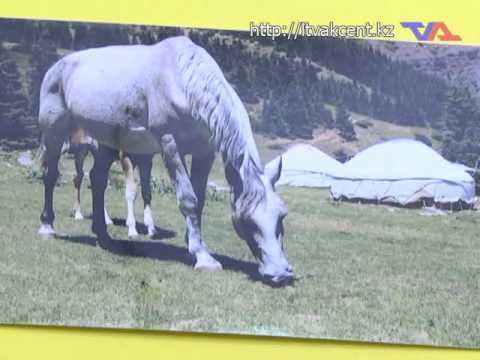 Выпуск программы «День» от 15 марта 2016г.