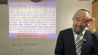 תנ"ך ואקטואליה 105 - מה יכול למנוע את "מותו" של משיח בן יוסף במלחמת גוג ומגוג - הרב ינון קלזאן (הרב ינון קלזאן) - התמונה מוצגת ישירות מתוך אתר האינטרנט יוטיוב. זכויות היוצרים בתמונה שייכות ליוצרה. קישור קרדיט למקור התוכן נמצא בתוך דף הסרטון