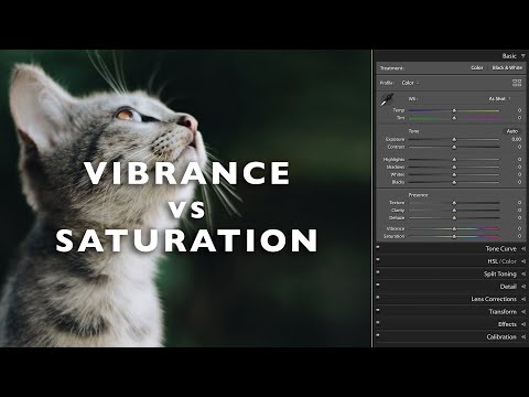 Vibrance vs Saturation Explained - What's the difference?