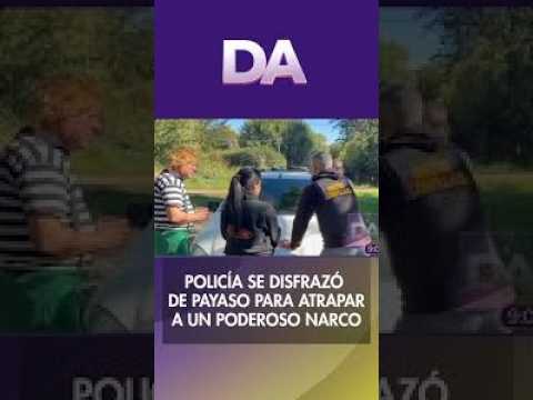 ¡ POLIPAYASOS UNA HISTORIA DE PELICULA !