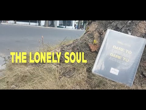 BeHIndTheScene : The Lonely Soul