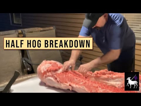 Half Hog Breakdown | Johnny André Interview