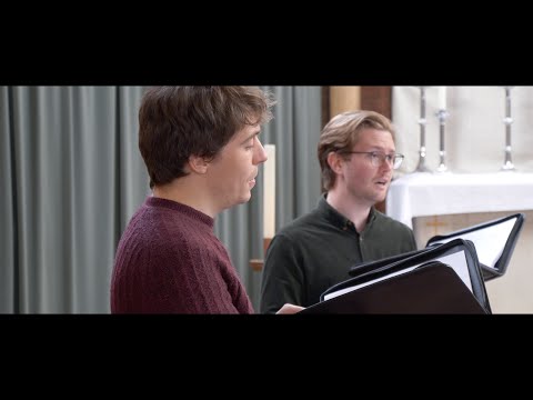 The Blue Bird by Andrew Maxfield