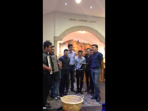 Grupul De baieti - Suntem in lume calatori