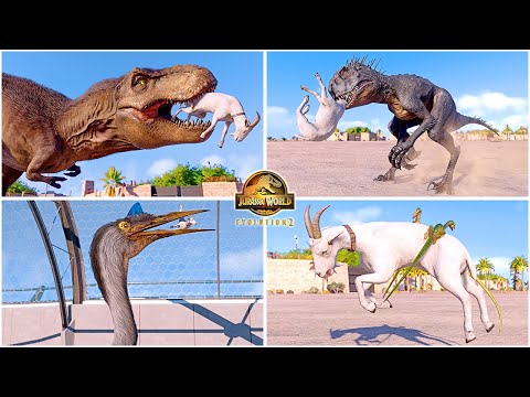 Goat Hunting Animations of All Dinosaurs & Flying Reptiles in San Marie 🦖 Jurassic World Evolution 2