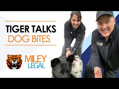 Dog Bites | Tiger Talks Ep 2 | Miley Legal Group