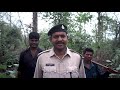 ON GUARD Day In Life Of A Forest Guard Documentary
