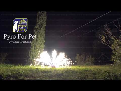 4001 - Rainbow Peacock | PYRO FOR PET