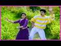 Suman Vani Viswanath Evergreen Superhit Love Song Collector Gari Alludu Movie Songs Telugu Songs