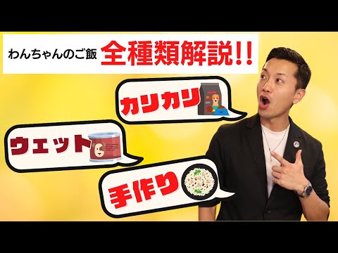 ドッグフードの種類とメリット