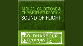 Sound Of Flight (Original Mix)