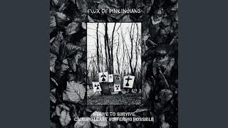 Music video thumbnail preview for The Fun Is Over by Flux of Pink Indians