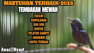 Download lagu SUARA BURUNG KONIN GACOR LANGSUNG RESPON DENGAR SUARA KOLIBRI NINJA GACOR mp3