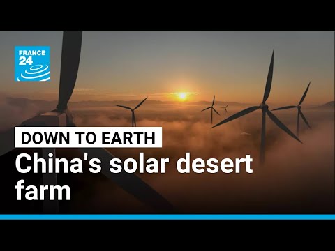 Solar desert power: Inside China's mega farm • FRANCE 24 English